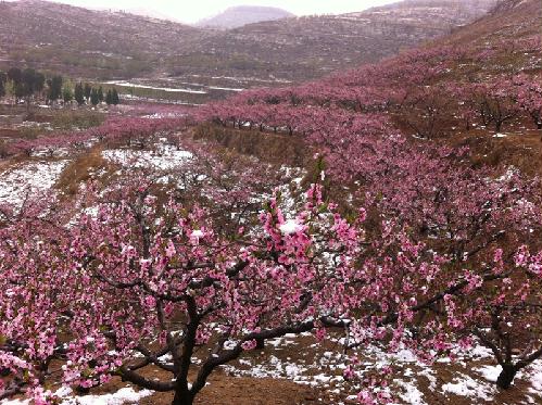 ����ˮ�����һ�Դ��ȫ�����������顱�����߹�����Դ������Լ